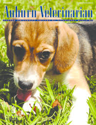 In this guide, i list 20 top resources about cover letter template for google docs. 24 Printable Cover Letter Template Google Docs Forms Fillable Samples In Pdf Word To Download Pdffiller