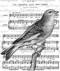 Birds Of A Feather Song Download French Music Garden Bird Birds Song Digital Image Download Transfer For Pillows Totes Tea Towels Bur Clip Art Vintage Vintage Printables Digital Image