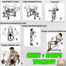 chest biceps workout plan fitness