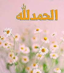 الحمدلله الحمد لله ذكر ذكر الله أذكار صور الصور صورة الصورة تصميم خلفية خلفيات رمزيات التصميم خلفيه تصاميم white flowers daisy