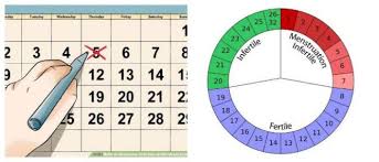 Explanation Menstrual Cycle Calendar Hoool Health Wellness