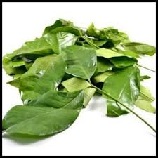 We did not find results for: Jual Daun Melinjo Harga Pasar Agustus 2021 Di Harga Buah