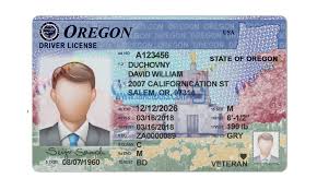 Oregon Driver License Psd Template High Quality Psd Emplate Drivers License Id Card Template Psd Templates