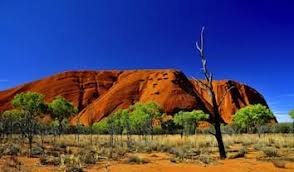 We did not find results for: Australia Facts For Kids Australia For Kids Geography Animals