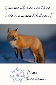 La Rencontre De L Animal Totem En 2020 Animaux Chamanisme Amerindien Totem