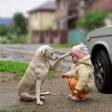 Animals Love Children Children Love Animals Funny Animals Animals Cute Animals