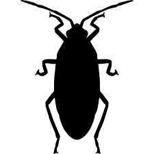 Resultado de imagen de cucaracha