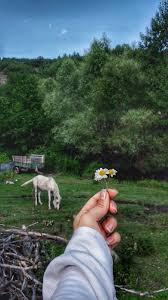 Merve Cifci Adli Kullanicinin Photo Panosundaki Pin Resim Duvari Fotograf Resim