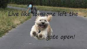 You will receive this design in the following formats: Live Like Someone Left The Gate Open