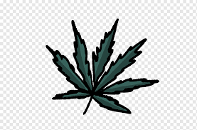 21+ gambar daun gugur kartun. Cannabis Robbery Bicycle Tobacco Leaf Cannabis Daun Sepeda Kartun Png Pngwing