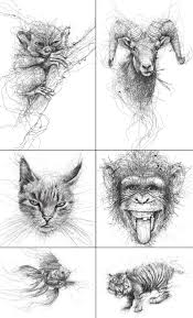 Vince Low Animals Series Illustrations Art Scribble Art Scribble Drawings Art