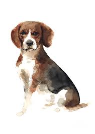Maybe you would like to learn more about one of these? Colorful Beagle Poster Domestic Animal Watercolor Painting Brown Black Doggie Picture Painting By Joanna Szmerdt