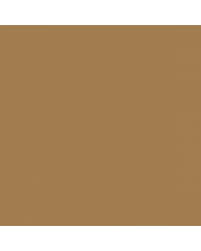 Image result for Chamois Glow 1980 Bronco