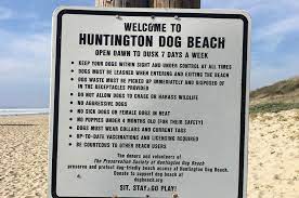 Dogs can romp in the surf at huntington dog beach, between goldenwest st and seapoint ave, north of huntington city beach. Huntington Dog Beach Huntington Beach Ca Pet Friendly Travel