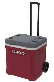 Here are the 12 best picks on the market this summer. Igloo Coolbox Latitude Roller 56 Litres Polyethene 56 Cm Red Internet Sport Casuals
