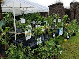 We were established in 1999 as a small local grower and have expanded into a 12 acre plant industry. Mounts Botanical Garden Reschedules Plant A Palooza Palm Beach Illustrated
