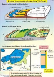 Leben Im Nordostdeutschen Tiefland Wichtige Lebensraume In Deutschland Anschaulich Und Ausfuhrlich Interaktive Tafelbilder Mit Begle Erdkunde Geografie Leben