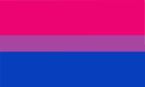 See more ideas about lgbtq, lgbtq flags, lgbtqia. Pride Flags Go Beyond The Rainbow What Pansexual Bi And Others Mean