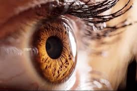 Об этом сообщила мама девочки туркойз майами в instagram. Why You Should Listen To Rapper Fetty Wap To Avoid Blindness