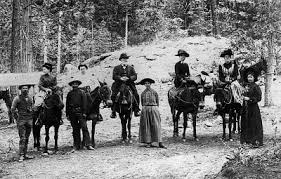 Does the mule have some other benefit that makes it worth its higher cost? History Of The Mule American Mule Museum