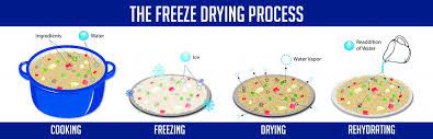 This is in contrast to dehydration by most conventional methods that evaporate water using heat. How Does Freeze Drying Work Ofd Foods Llc