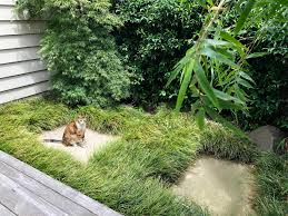 Clean beauty | safer skin care. Farrar Road Kirsten Sach Landscape Design Ltd