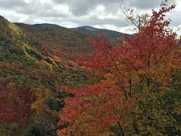 Rubenstein School lecturer Laura Edling received the Outstanding New  Service-Learning Faculty award for her course, NR 4060: Environmental  Problem Solving and Impact Assessment. “Reviewers were so impressed with  the scope and scale