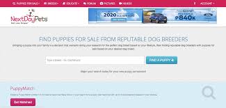 Learn how to make soap for kids. How To Sell Puppies Online 25 Tips Tricks Doggie Designer