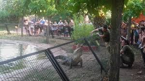 Although it's a little far away, without a doubt it's one of the best ways to cool off from the madrid heat, and combat the weather. Entradas Para Safari Madrid Entradas Com
