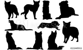 Free back of dog vector download in ai, svg, eps and cdr. Border Collie Dog Svg Files Cricut Silhouette Clip Art Vector Illustration Eps Black Overlay Wall Mural Loveleen