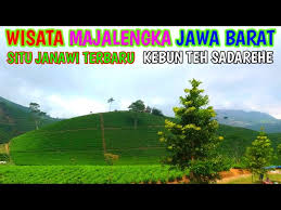 Mobile photo upload / cipasung tea plantation. Nomor Hp Pengelola Kebun Teh Cipasung Majalengka Wisata Ke Majalengka Catatan E Adheb Nomor Hp Pengelola Kebun Teh Cipasung Majalengka Rakeshzharotia