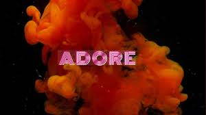 We specialize in luxury and affordable custom closets, garage storage organization, pantry. Adore Closet Home Facebook