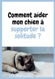 Epingle Sur Education