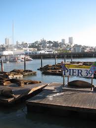 Pier 39 San Francisco Ca Living In San Francisco San Francisco Earthquake Vacation Spots