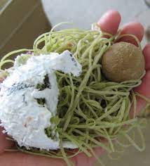 May 03, 2006 · we got closer and noticed it looked like a million rubber bands were inside the golf ball. The Nature Of Fear Pt Ii Fear S Revenge Wr414andmycats