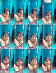 Bokep Indo dikirim pap bugil colmek kangen mantan