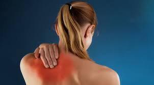 Nature's Zen CBD Gummies | Frederick MD