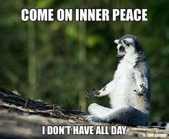 15 Lemur Memes That Will Make Your Wednesday So Much Better Funny Memes Funny Pictures Funny Animal Pictures