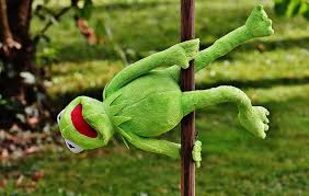 The best known muppet frog is, of course, kermit. Pole Dance Kermit Funny Soft Toy Animal Toys Stuffed Animal Plush Frogs Figure Cute Pikist
