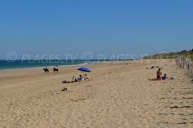 Plage Du Lizay Les Portes En Re 17 Charente Maritime Poitou Charentes Plages Tv
