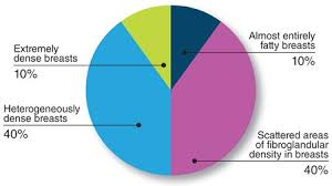 Symptoms Of Dense Breast Stanford Health Care