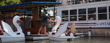 The swan paddle boat with the attractive swan appearance is one of the most popular kinds of paddle boats. Canoes Kayaks And Swan Pedal Boats Capital Cruises