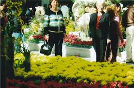 Flowers and friends east peoria il. Betty Russell Hoskins Obituary East Peoria Il