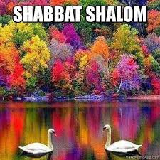 Jvn Jewish Volunteering Network Wishing All Our Friends And Families Volunteers And Charities A Shabbat Shalom Facebook