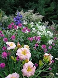 Garden and nature inspired gifts! My Garden A Rustic Perennial Paradise Garden Design Daylily Garden Perennial Garden Perennials