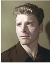 Fiona Dutton (fionadutton395)