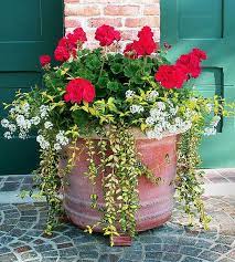 Container Flower Garden Most Beautiful Gardening Flowers Ideas For You Containerflowergarden Flower La Container Gardening Container Flowers Porch Flowers
