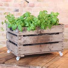 Beetkiste Auf Rollen Crate Obstkisten Weinkisten Obstkisten Deko