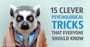 Michael Skog (0lsuqv5ul1st25z)