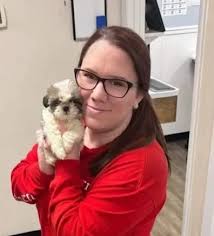 Our Animal Hospital Staff